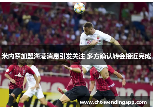 米内罗加盟海港消息引发关注 多方确认转会接近完成 米内罗加盟海港消息引发关注 多方确认转会接近完成