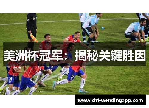 美洲杯冠军：揭秘关键胜因