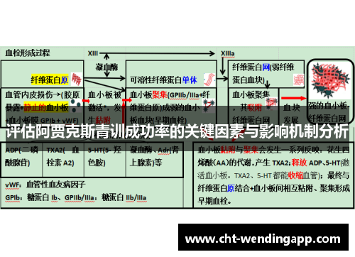 评估阿贾克斯青训成功率的关键因素与影响机制分析 评估阿贾克斯青训成功率的关键因素与影响机制分析