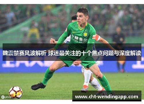魏震禁赛风波解析 球迷最关注的十个焦点问题与深度解读